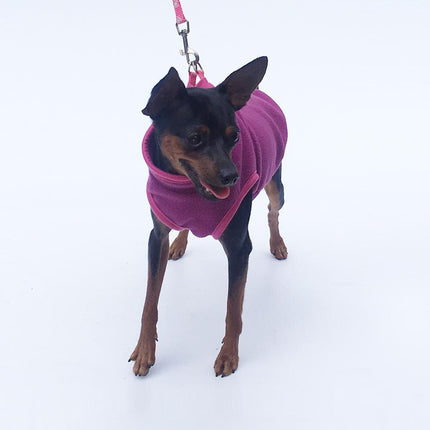 Pet clothing Dog clothing