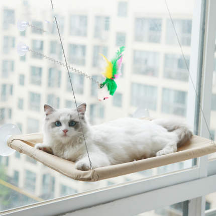 Suction Cup Hanging Bed For Summer Sunbathing Swing Cat Supplies