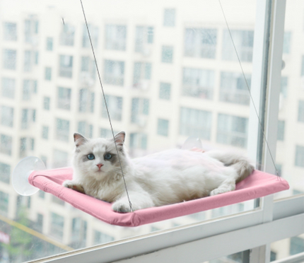 Suction Cup Hanging Bed For Summer Sunbathing Swing Cat Supplies