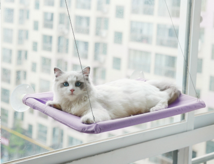 Suction Cup Hanging Bed For Summer Sunbathing Swing Cat Supplies