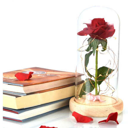 Mothers Day Gift Enchanted Forever Rose Flower In Glass LED Light Home Decoration