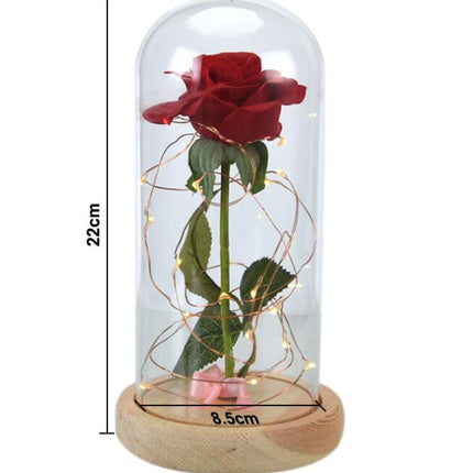 Mothers Day Gift Enchanted Forever Rose Flower In Glass LED Light Home Decoration