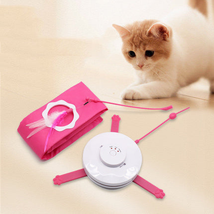 Timing Automatic Cat Artifact Pet Supplies