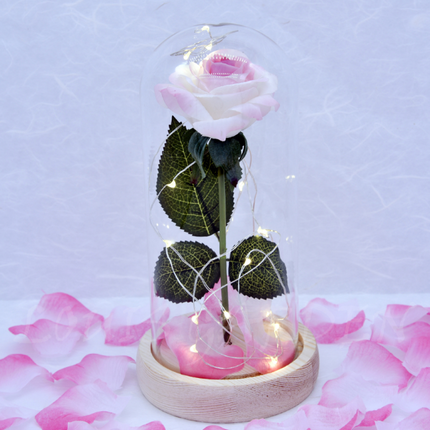 Mothers Day Gift Enchanted Forever Rose Flower In Glass LED Light Home Decoration