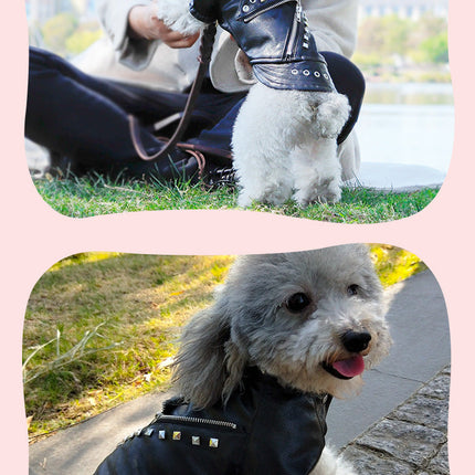 Pet Leather Coat Dog Fashion Brand Clothes Korean Style Autumn And Winter Cat Teddy Chihuahua Winter Clothing