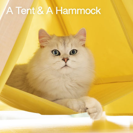 Pet Cat Tent Supplies Are Available All Year Round