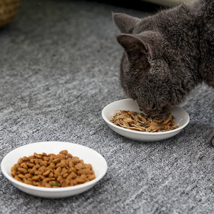 Tableware Cat Dish Cat Supplies