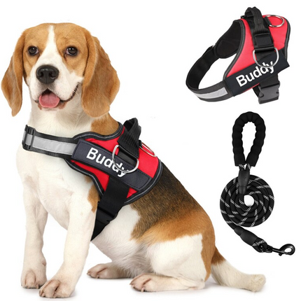 Pet Clothing Dog Couple Chest Strap Rope