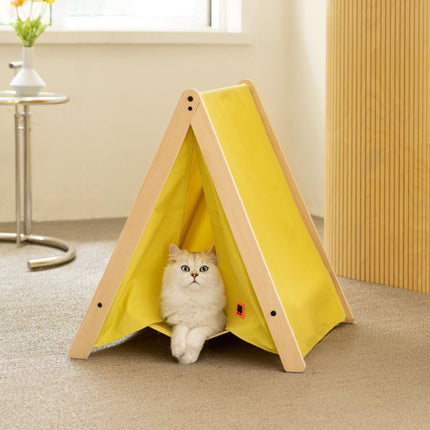 Pet Cat Tent Supplies Are Available All Year Round