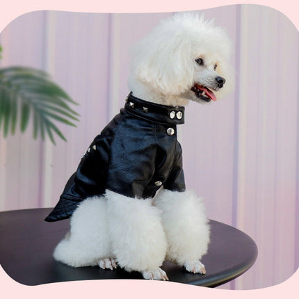 Pet Leather Coat Dog Fashion Brand Clothes Korean Style Autumn And Winter Cat Teddy Chihuahua Winter Clothing